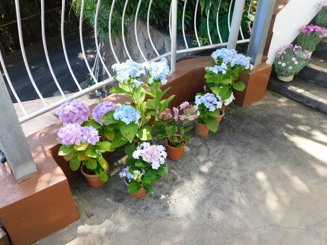 DSCN4038.JPG