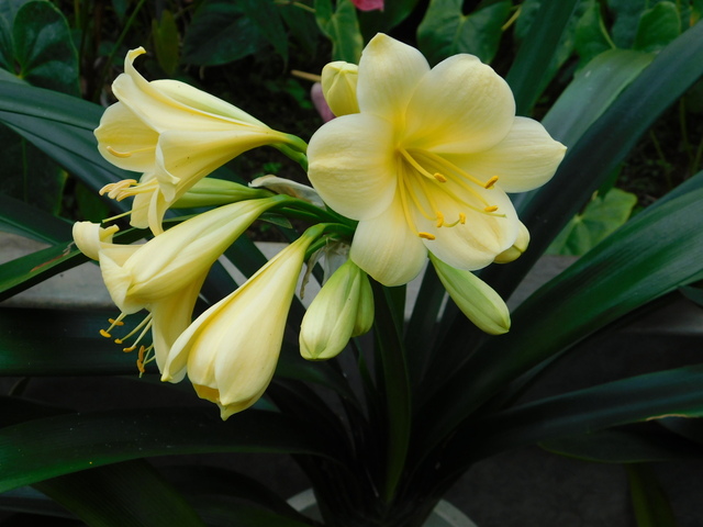 DSCN4040.JPG