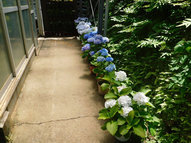 DSCN4040.JPG