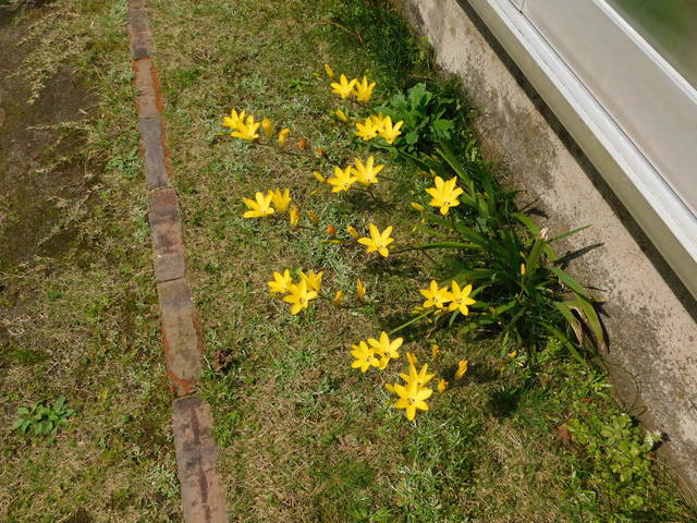 DSCN4042.JPG