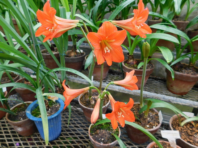 DSCN4048.JPG