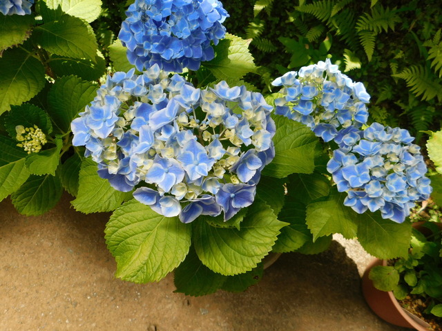 DSCN4048.JPG