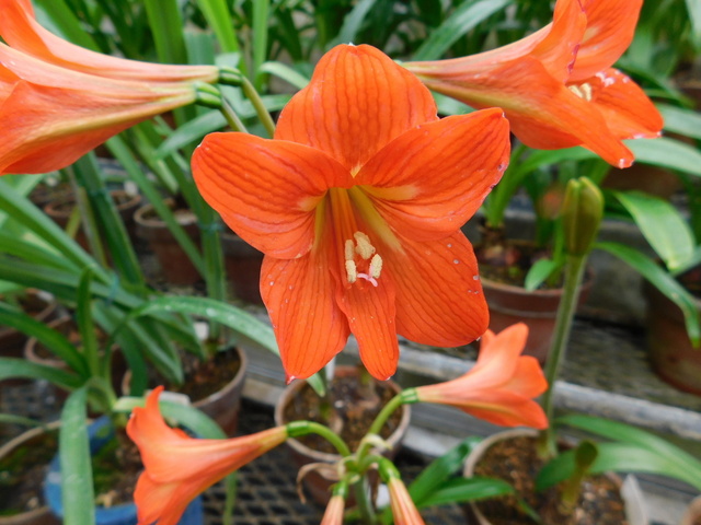 DSCN4049.JPG