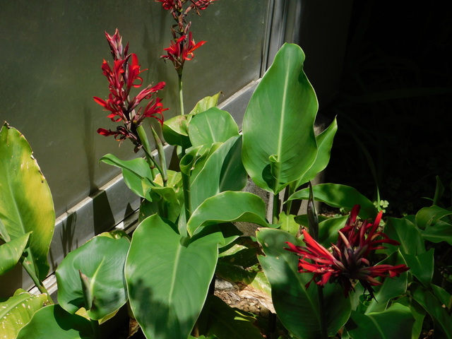 DSCN4050.JPG