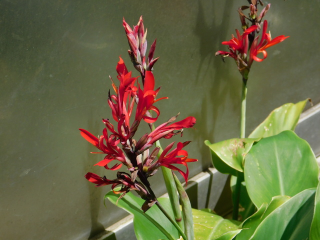 DSCN4052.JPG