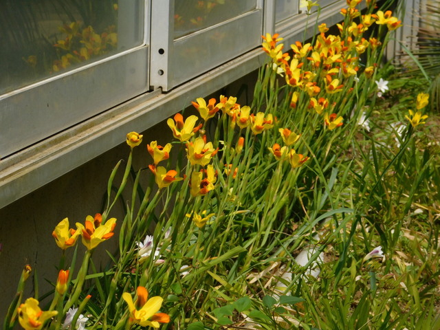 DSCN4055.JPG