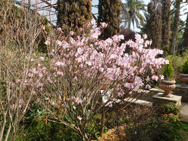 DSCN4072.JPG