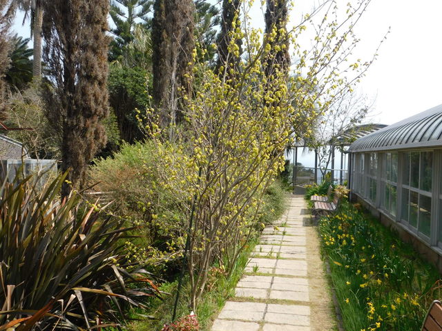 DSCN4085.JPG