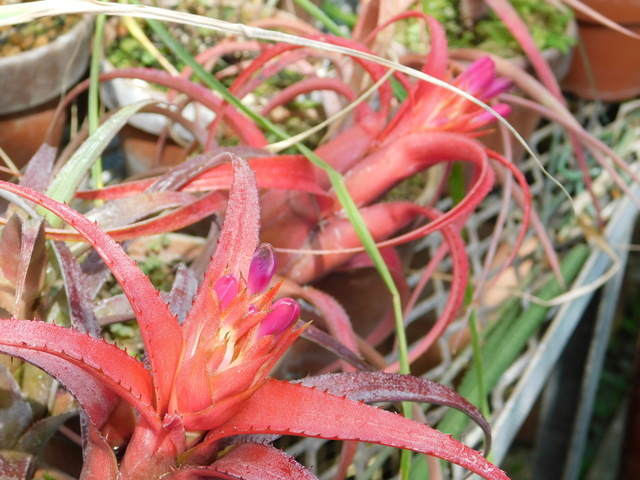 DSCN4195.JPG