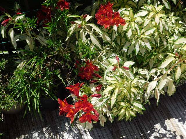 DSCN4223.JPG