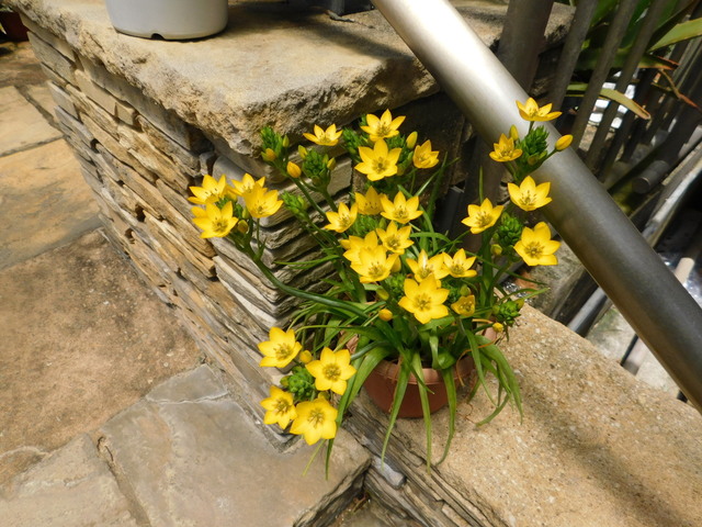 DSCN4287.JPG