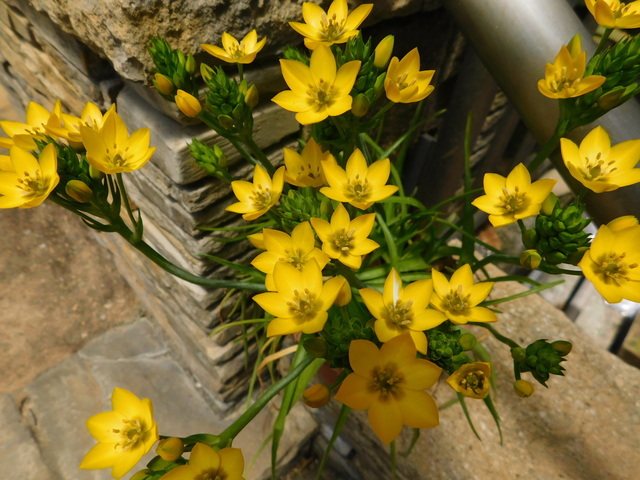 DSCN4289.JPG