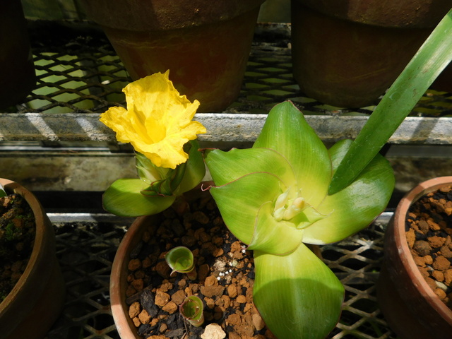 DSCN4291.JPG