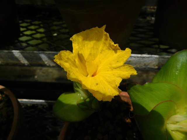 DSCN4293.JPG