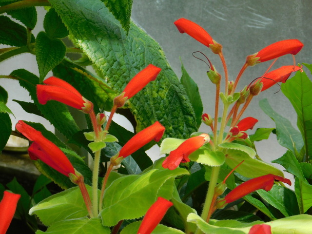 DSCN4297.JPG