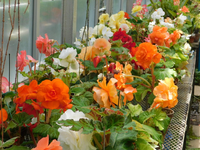 DSCN4303.JPG