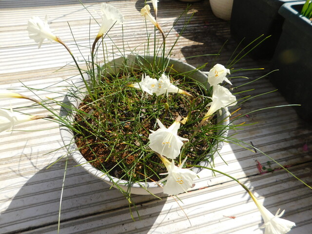 DSCN4311.JPG