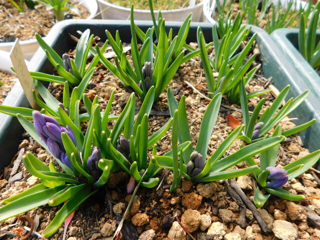 DSCN4315.JPG