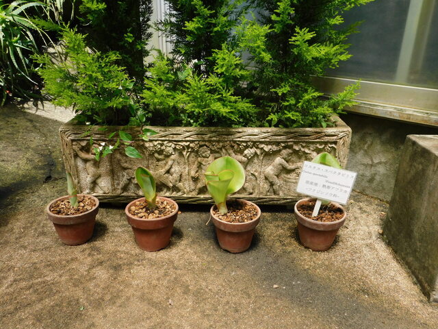 DSCN4317.JPG