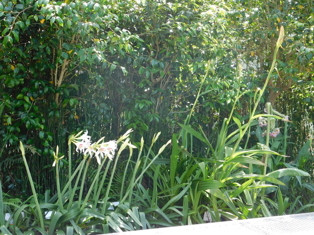 DSCN4320.JPG