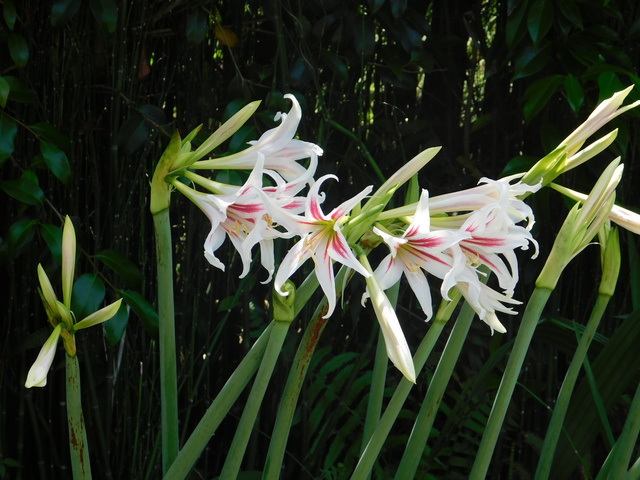 DSCN4322.JPG