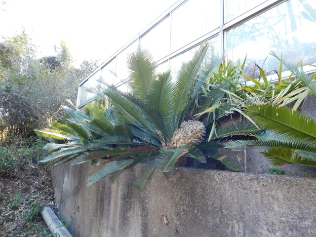 DSCN4323.JPG