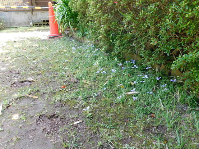 DSCN4326.JPG