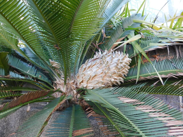 DSCN4329.JPG