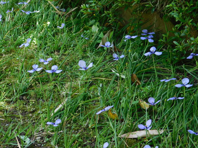DSCN4329.JPG