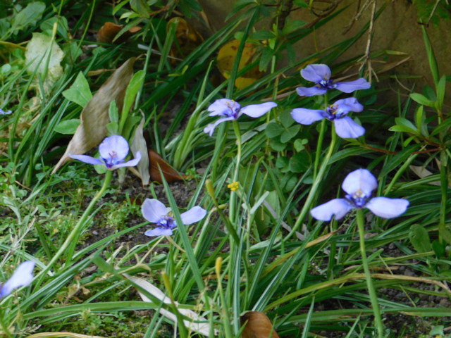 DSCN4331.JPG
