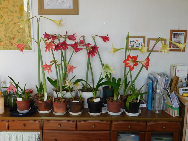 DSCN4337.JPG