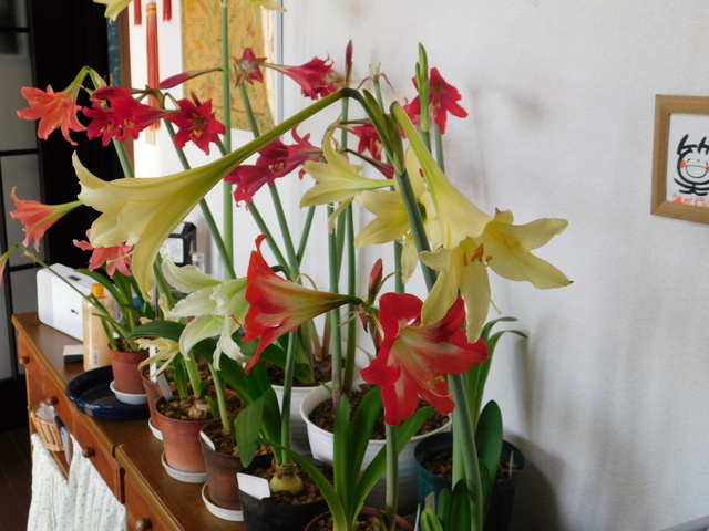 DSCN4339.JPG