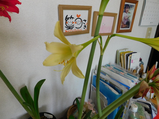 DSCN4340.JPG