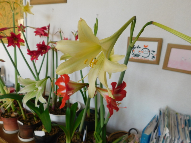 DSCN4342.JPG