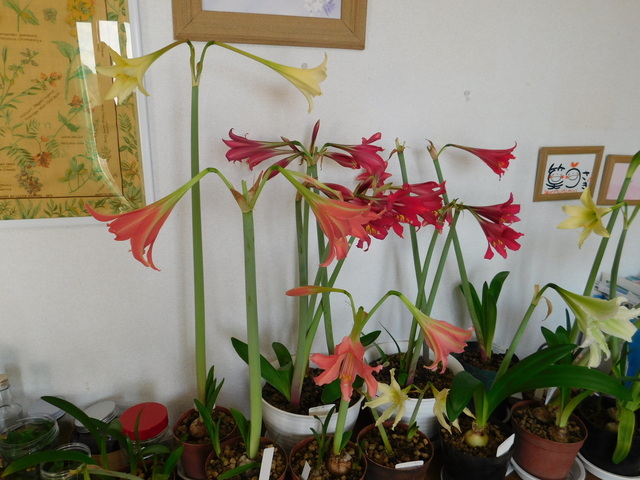 DSCN4344.JPG