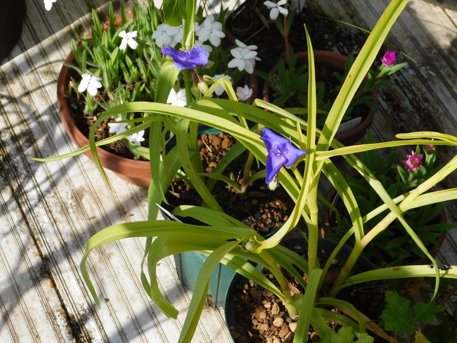 DSCN4346.JPG