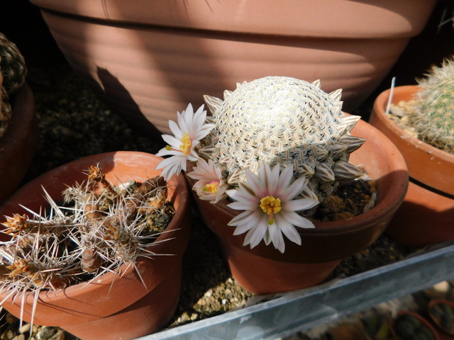 DSCN4415.JPG