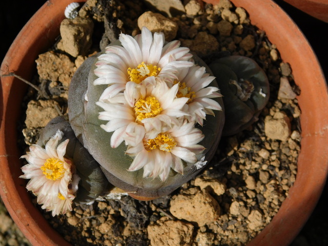 DSCN4440.JPG