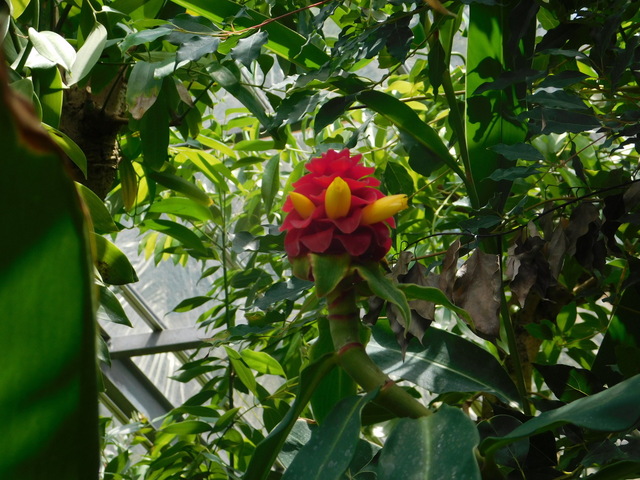 DSCN4489.JPG