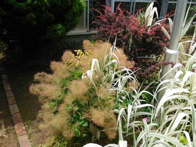 DSCN4503.JPG