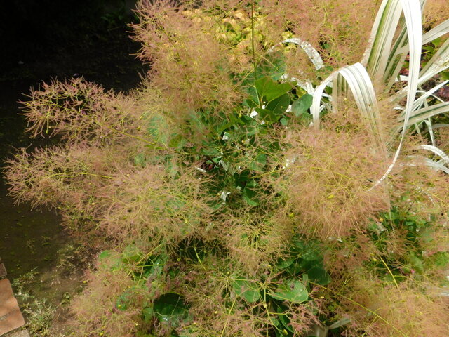DSCN4504.JPG