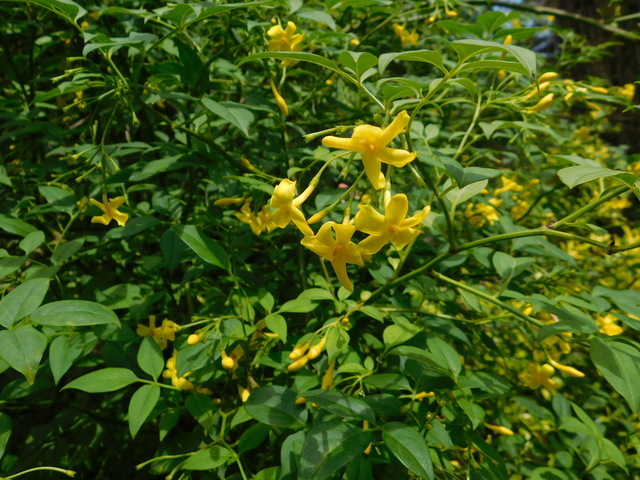 DSCN4510.JPG