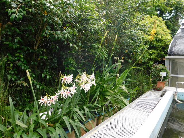 DSCN4520.JPG