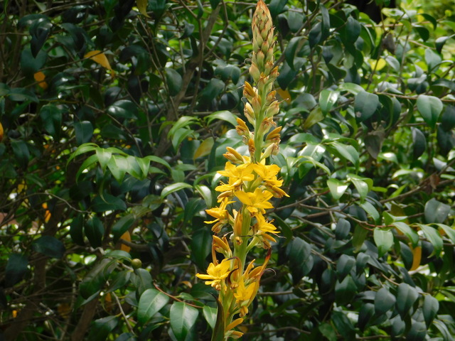 DSCN4522.JPG