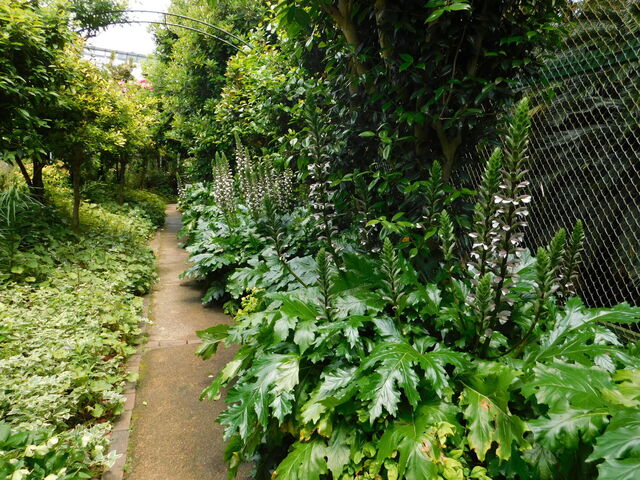 DSCN4535.JPG