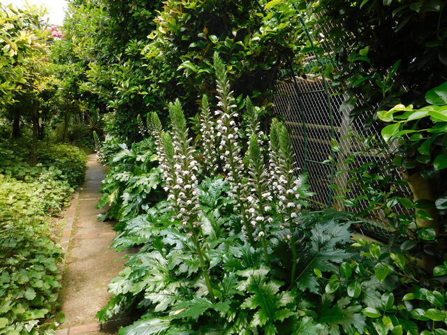 DSCN4537.JPG