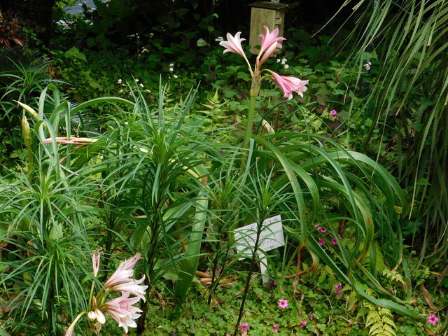 DSCN4540.JPG