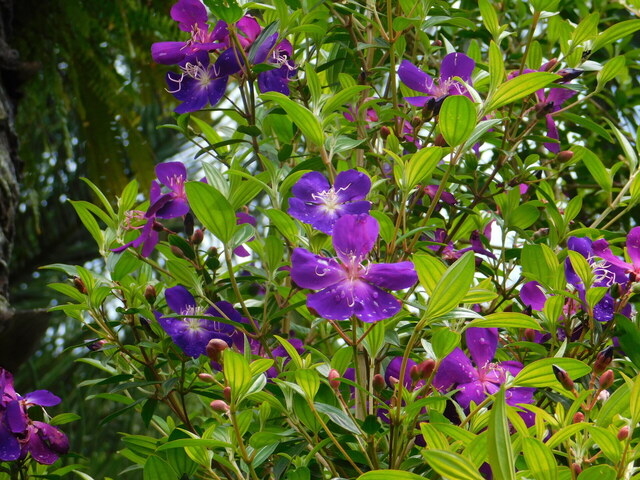 DSCN4546.JPG