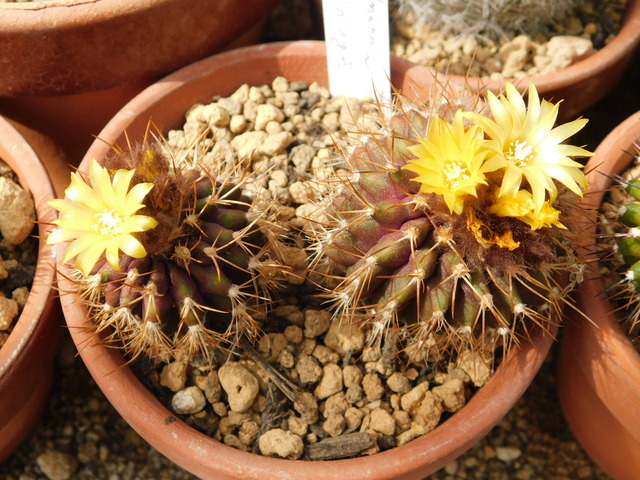 DSCN4565.JPG