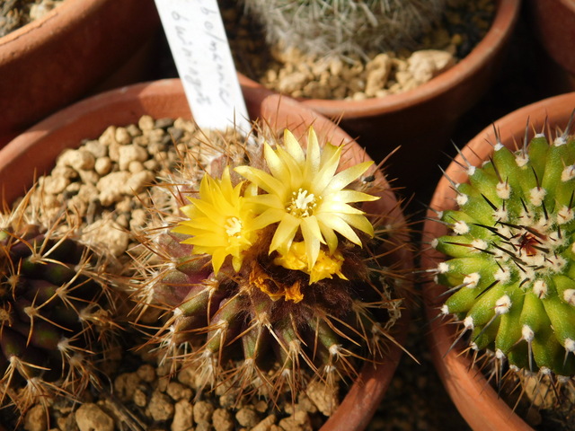 DSCN4567.JPG
